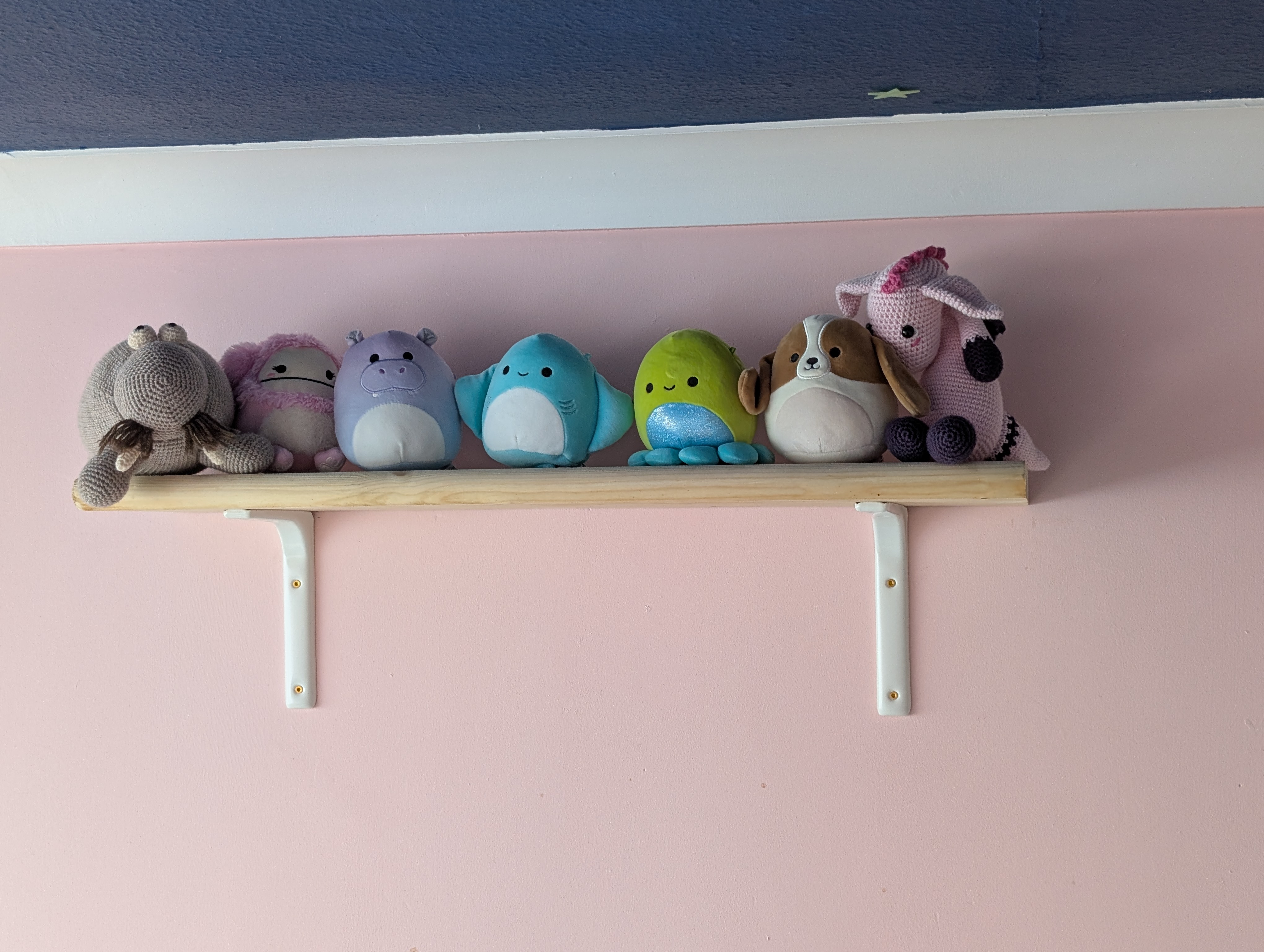shelfphoto